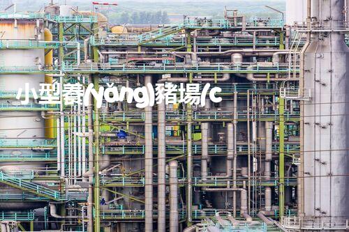 小型養(yǎng)豬場(chǎng)廢水處理設(shè)備的環(huán)保革命？答案在那個(gè)地點(diǎn)！
